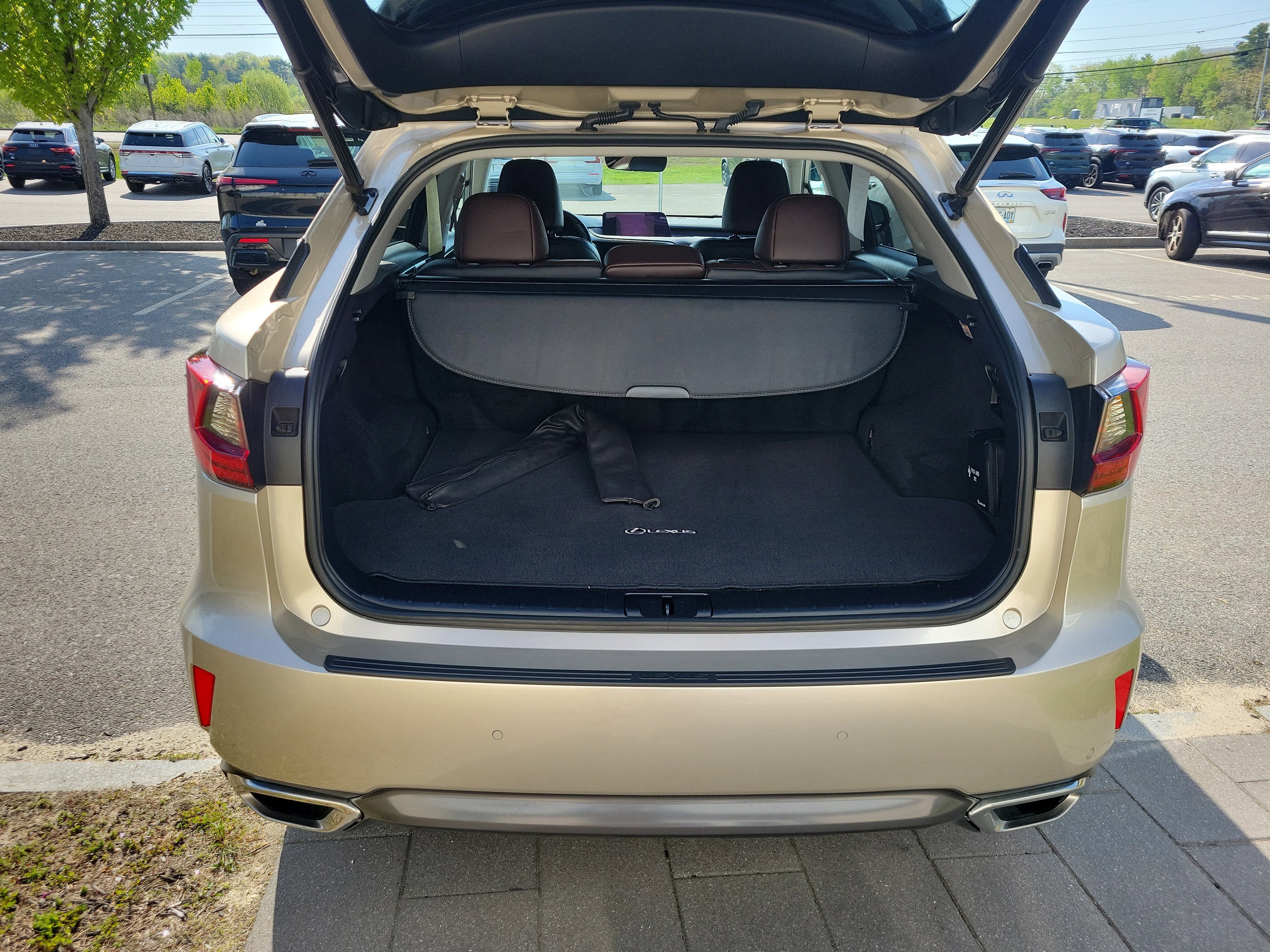 2019 Lexus RX RX 350